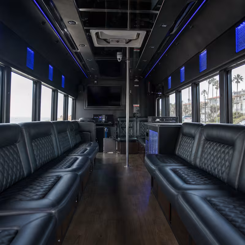 Passenger watching the Goodyear scenery during a regional party bus road trip